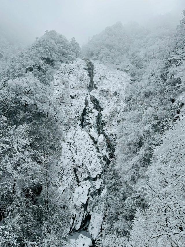 還上什麼班，直接去看武功山的雪景啊