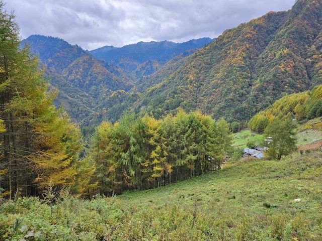 阿壩州小眾賞秋勝地