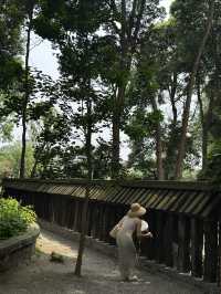 成都周邊隱藏一個小奈良唐風古寺