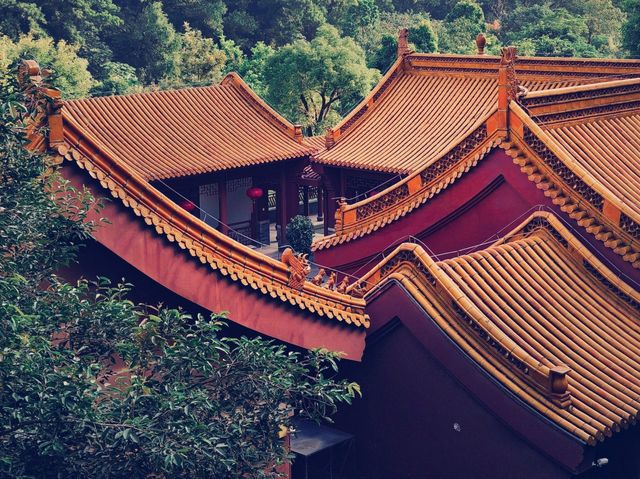 位於石岩深山裡的寺廟—深圳