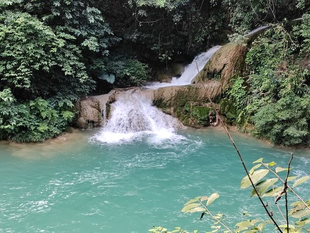 荔波小七孔，泉在山中鳴