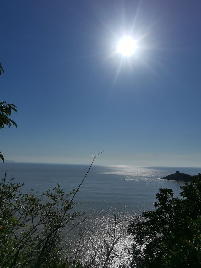 象山花岙島石林