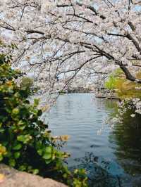 中國院子·夢溪苑