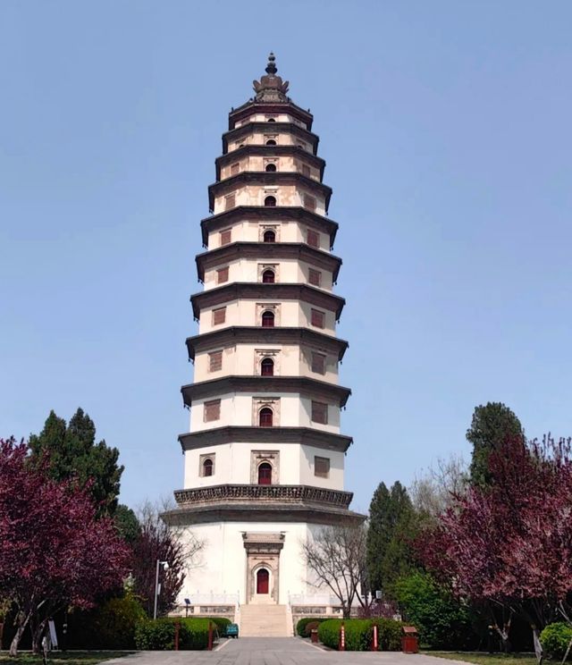春遊記 | 河北 定州開元寺塔 中國那些古塔 春遊記 | 河北 定州開元寺塔 中國那些古塔
