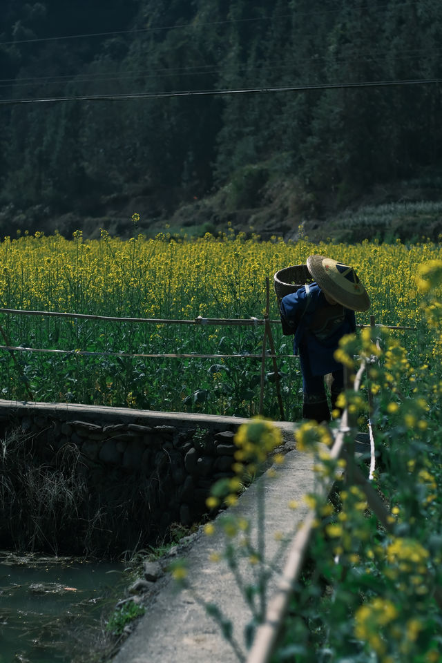 湘西景點推薦|原始苗寨的山野治癒