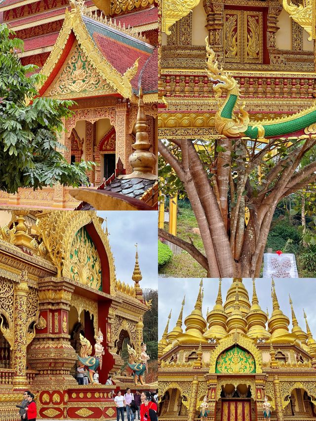 一定還會再去的地方西雙版納