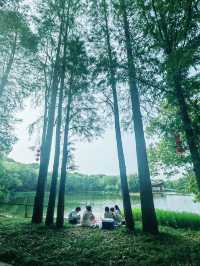 華東最大植物園，林田相依、湖岸美景交融