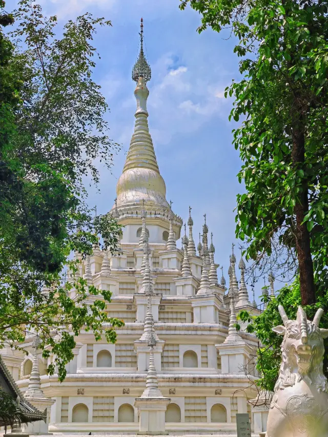 태국에 못 가는 게 아니라 망시가 더 가성비가 좋습니다