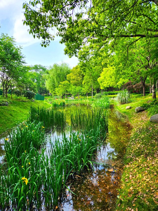 小眾偏僻的華夏公園也有優勢，人少景靚，還有座“浦東獐園”