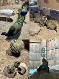 沈陽海底世界 水族館 海藍星夢幻城