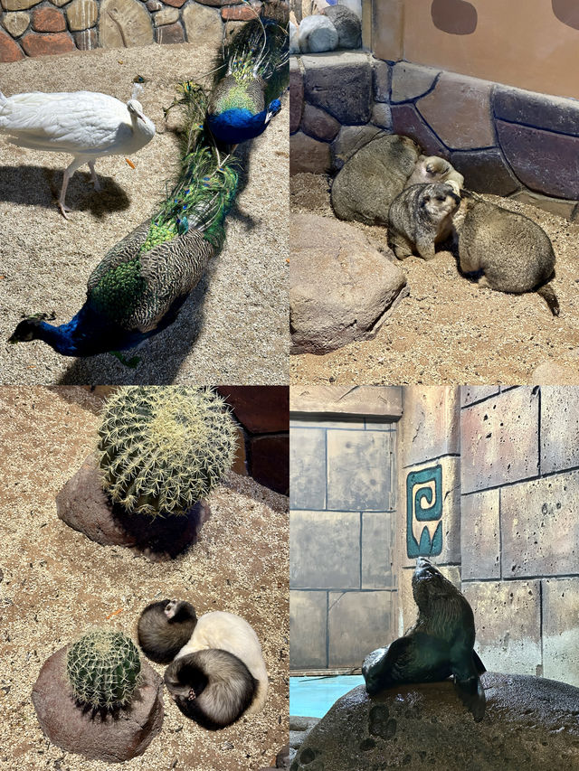 沈陽海底世界 水族館 海藍星夢幻城