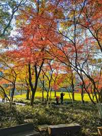 推薦杭州6個絕美賞秋打卡地，錯過又等一年。