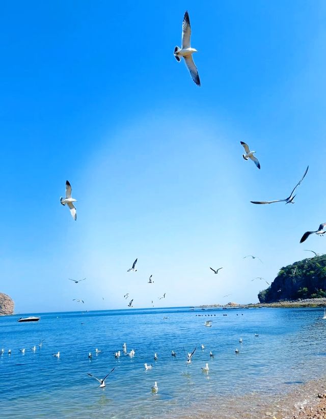 來棒棰島，告訴你海的味道