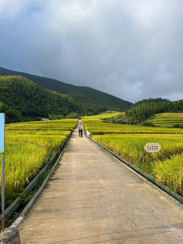 「世界的梯田，客家的梯田」分享上堡梯田之旅