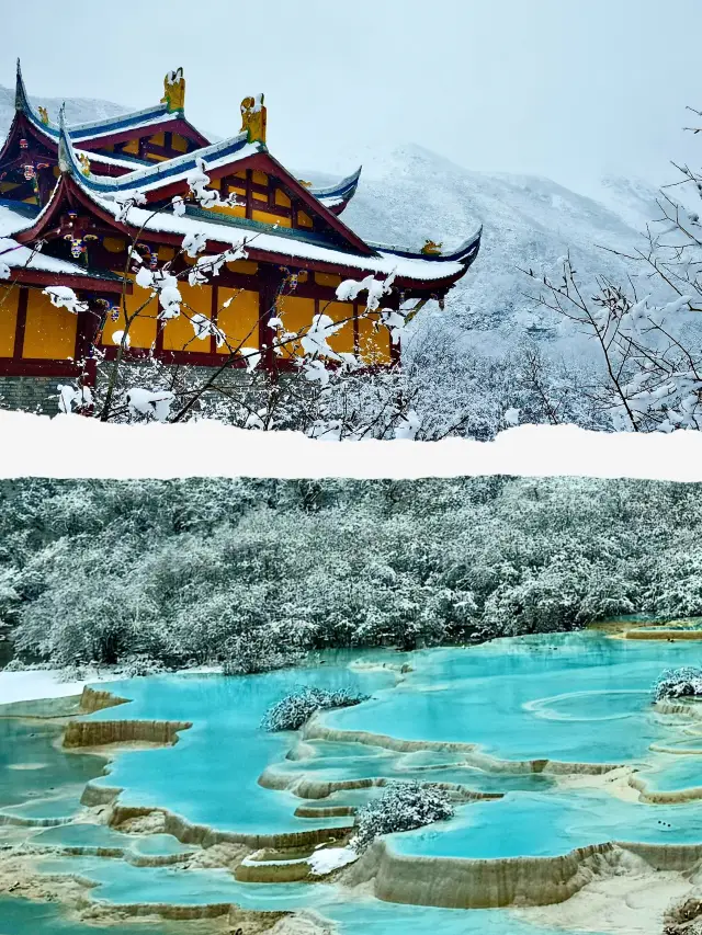 Northwestern Sichuan | Huanglong's Unmissable Colorful Ponds