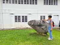 免簽的大馬·Sarawak Museum老館外走走