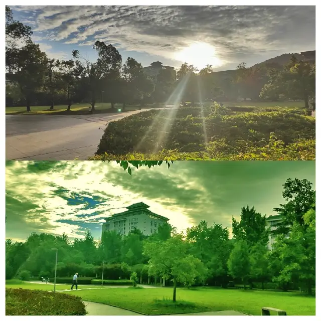 The Morning Glow of a Prestigious University - Wuhan University