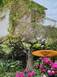 廣西藥用植物園:藥香四溢的綠色寶庫
