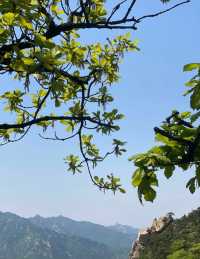 春意盎然！沂蒙山雲蒙景區，避暑新選擇！