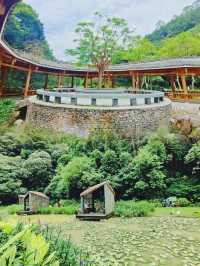逃離喧囂，擁抱自然：南寧高峰森林公園的完美一日遊