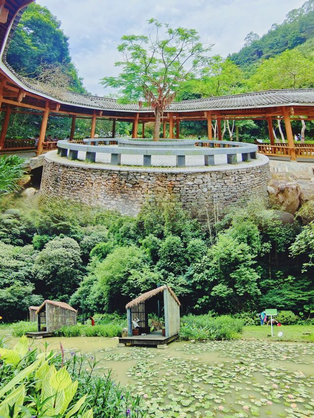 逃離喧囂，擁抱自然：南寧高峰森林公園的完美一日遊