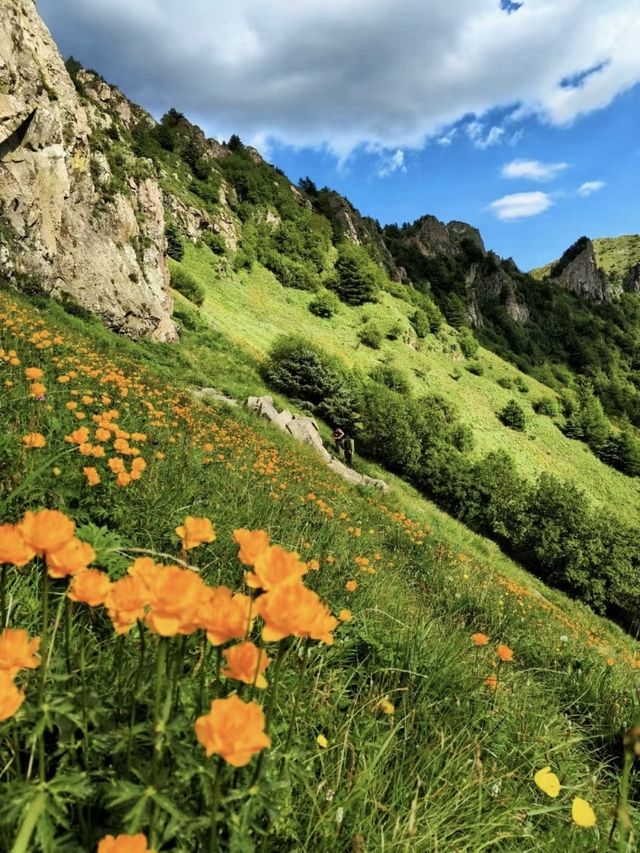 京西高山花海草甸｜夏日小五台·徒步之旅～