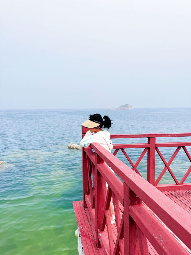沒在國外，就在煙台養馬島，傳說中的果凍海～