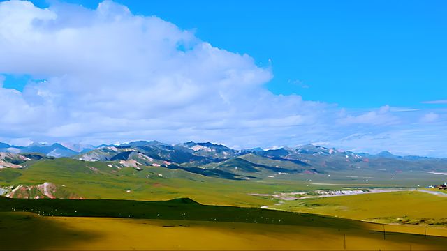 祁連山草原，風吹草低見牛羊的那個草原