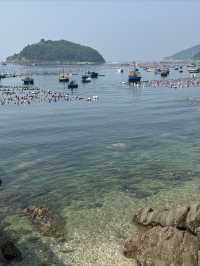 大連大長山島旅遊攻略