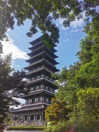 龍背山森林公園