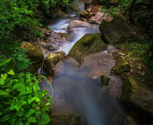 杭州郊區有個皇帝名山，已成暑假游頂流