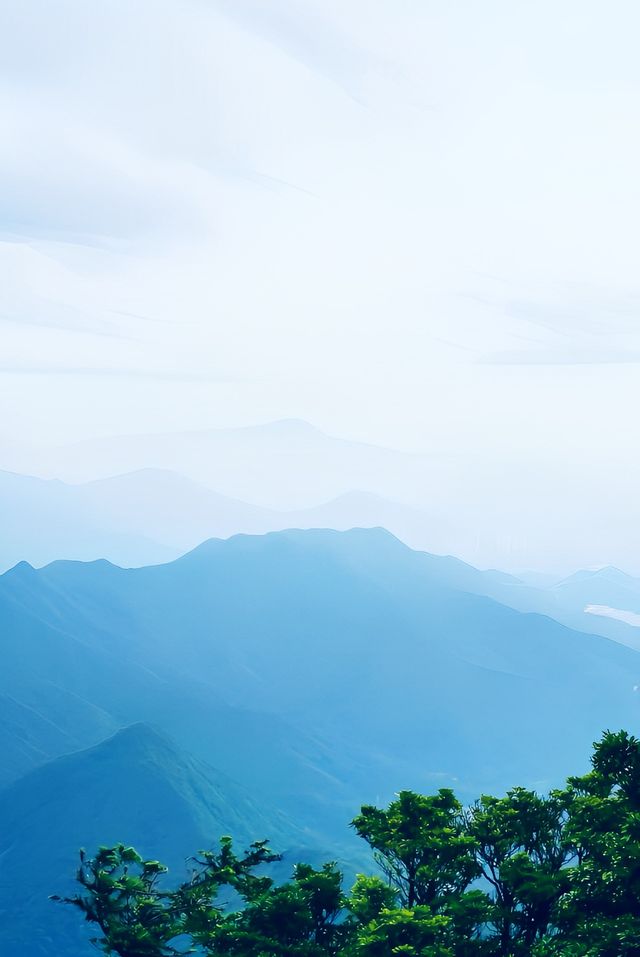 梧桐山登山路線