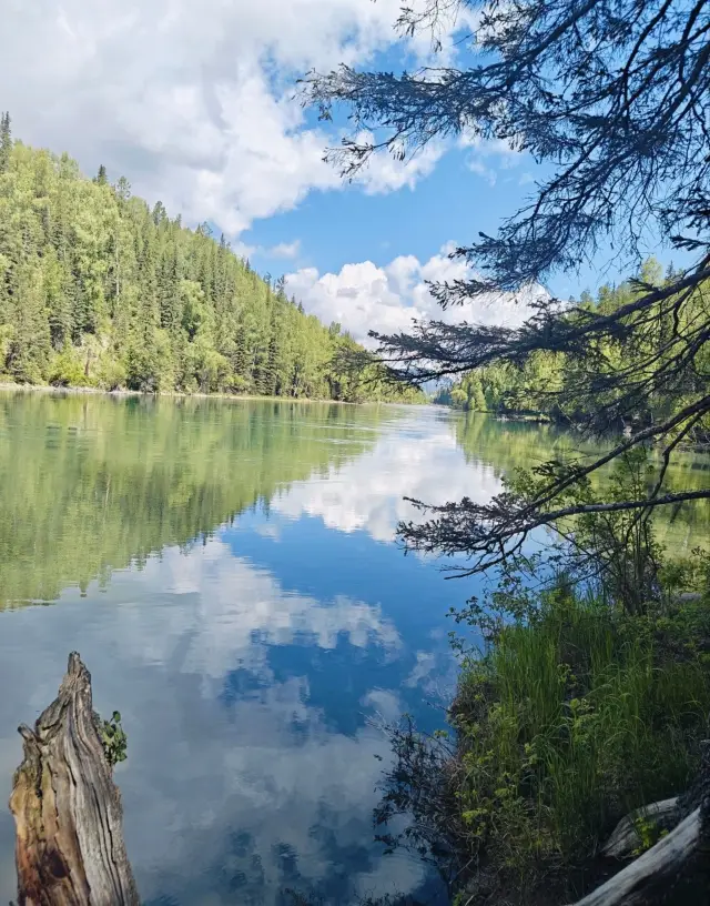 Kanas Scenic Area, a super detailed guide you can't miss
