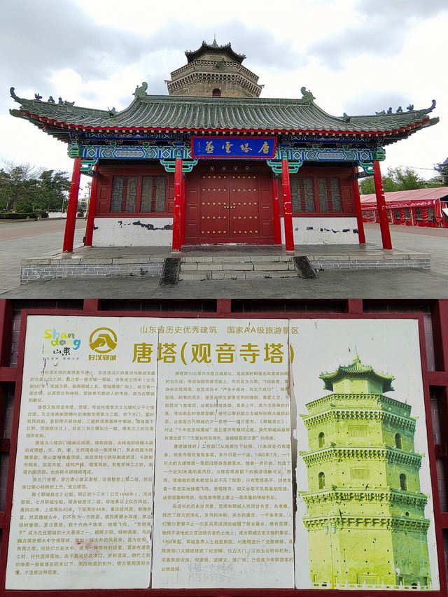 菏澤。