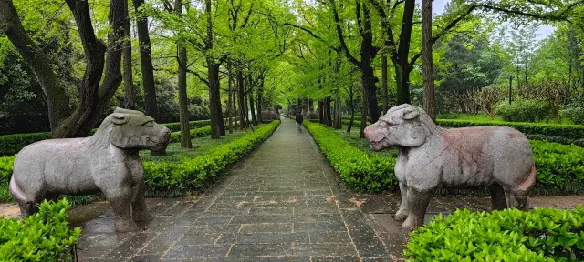 南京明孝陵旅遊攻略。