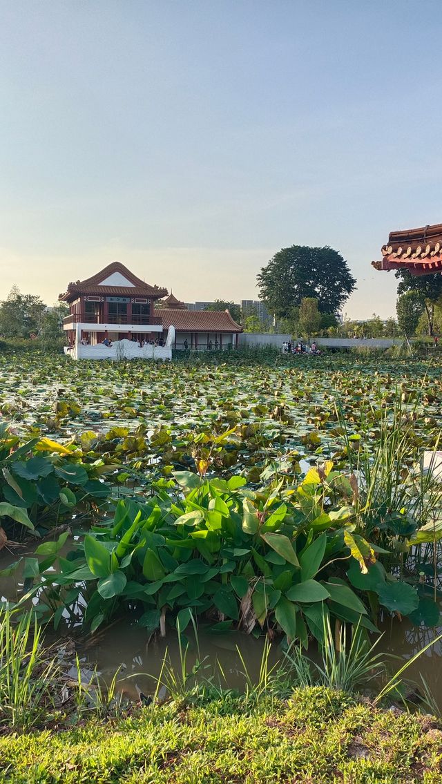 遊新加坡裕華園。