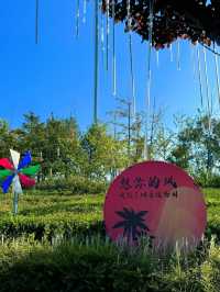 煙台寶媽的遛娃好去處，現實版莫奈花園。