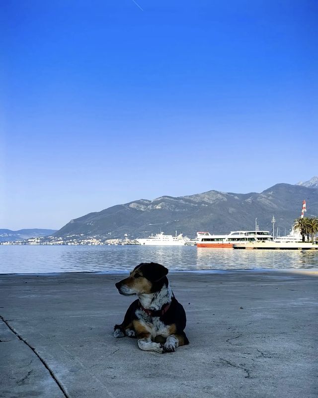 魅力蒂瓦特：一場夢幻的海濱之旅。