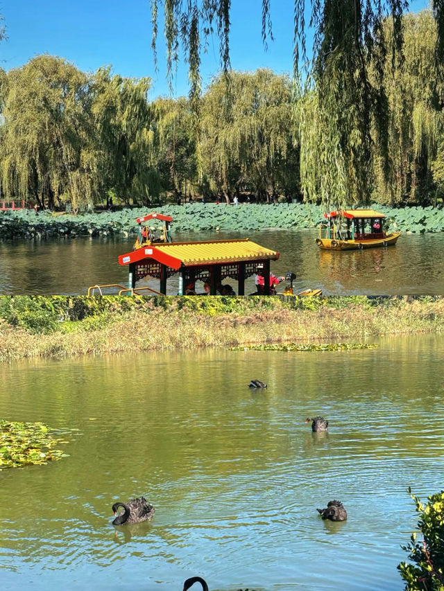 圓明園。