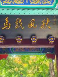 西楚霸王短暫卻又轟轟烈烈的一生。