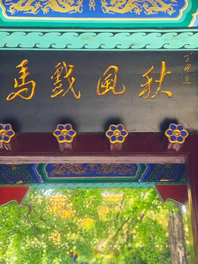 西楚霸王短暫卻又轟轟烈烈的一生。