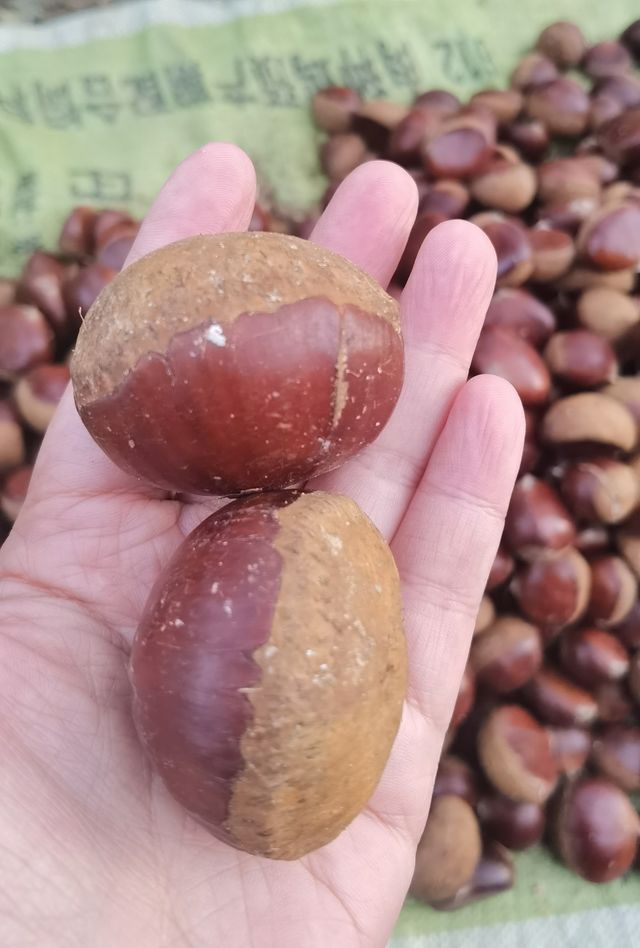 丹東寬甸最濃秋意的時節到了。