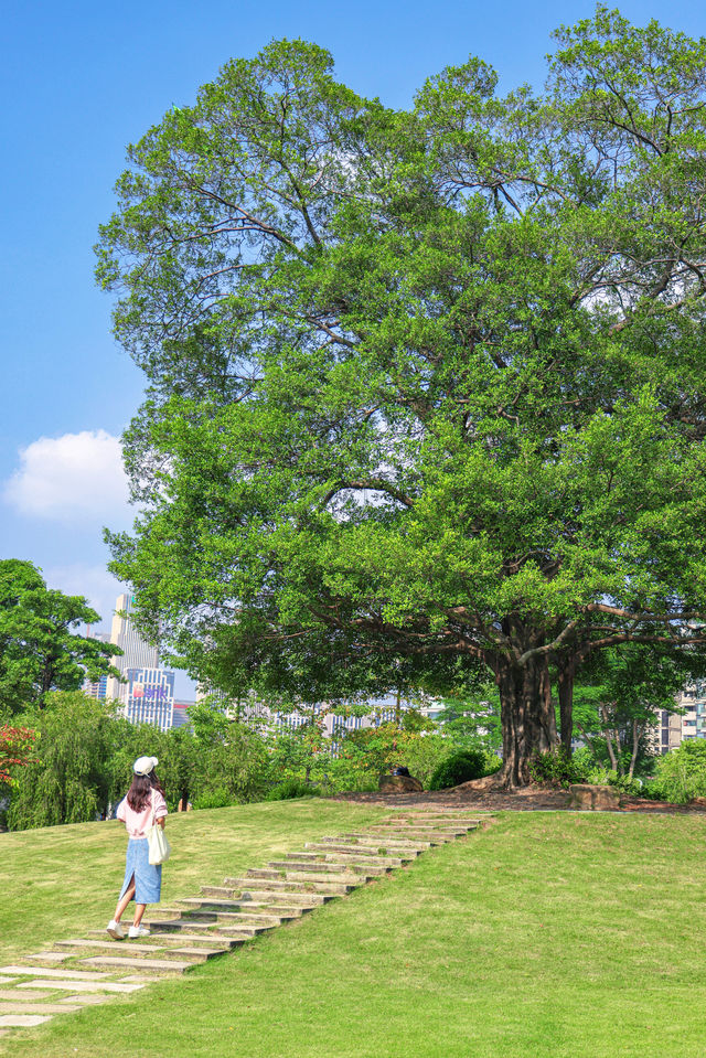 有軌電車直達｜市中心的寶藏古風公園露營。