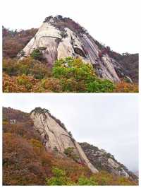 丹東鳳城鳳凰山，秋賞紅葉漫山遍野，層林盡染色彩斑斕。