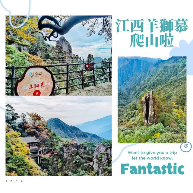 來羊獅慕爬山啦