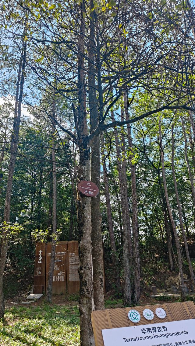 喀斯特世界自然遺產地——施秉雲台山。