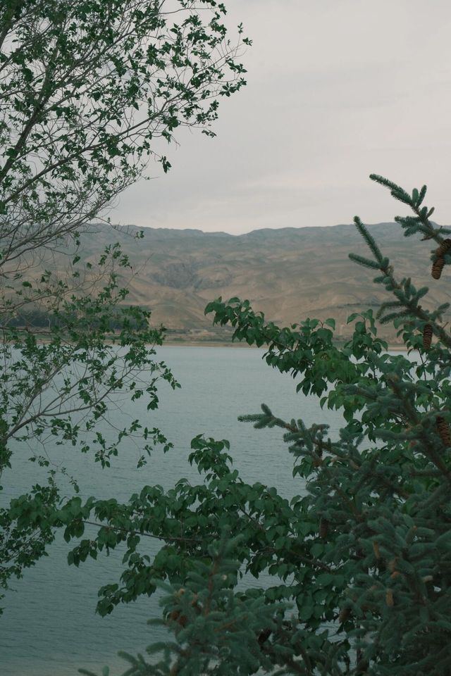 黃羊河水庫。