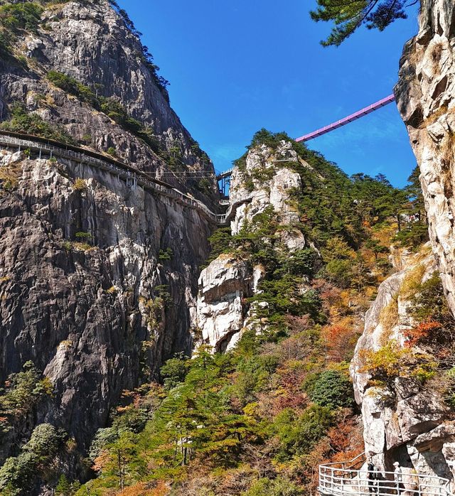 並非黃山！安徽這座山隱匿着一條絕美的賞秋路線。