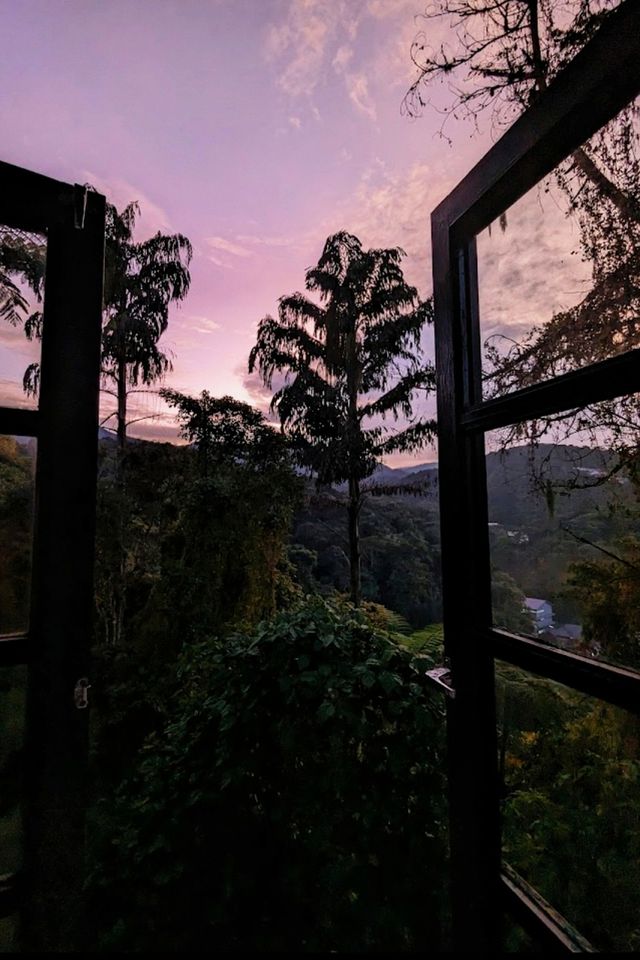 Discover the Charm of Cameron Highlands with RM25 Little Greece