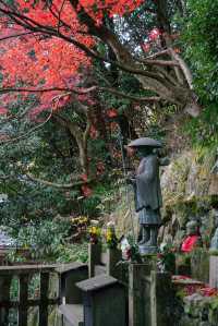 日本京都｜漫山紅葉與花水手的秋日至美。